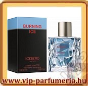Burning Ice