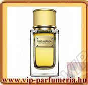 Dolce & Gabbana Velvet illatcsalád parfüm