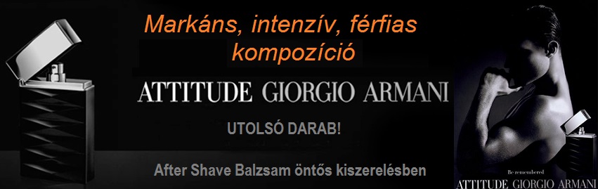 Giorgio Armani Attitude
