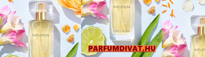Estée Lauder Intuition noi parfüm