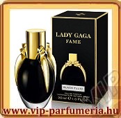 Lady Gaga Fame
